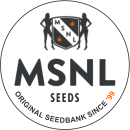 MSNL SEEDS NewZealand