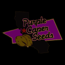 purple caper australia